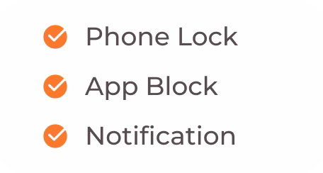 Borrower risk score card for a financed phone